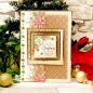 Preview: Kartenset Poinsettia Christmas Blessings Topper Set