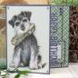 Preview: Picture Perfect Paper Pad It's a Dog's Life