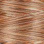 Preview: Isacord 40 Multi 9302 Bark Stickgarn