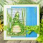 Preview: Motivstempel Animal Kingdom Frog Family