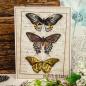 Preview: Designpapier Butterfly Royale & Delightful Diamonds