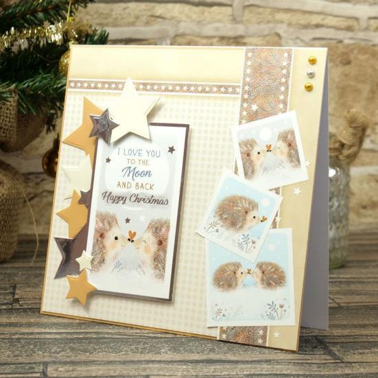 Luxury Card Collection Festive Fun