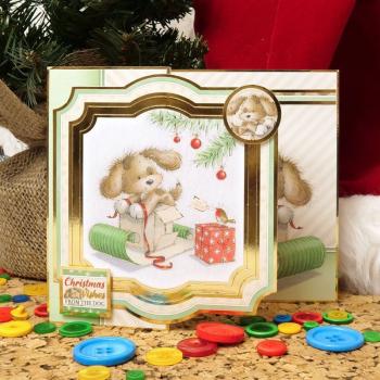 Luxury Card Collection Santa & Friends