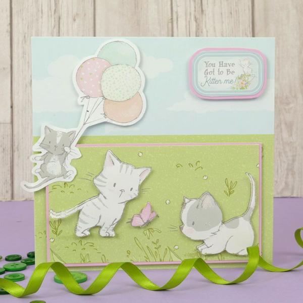 The Little Book of Kittens Paper Pad