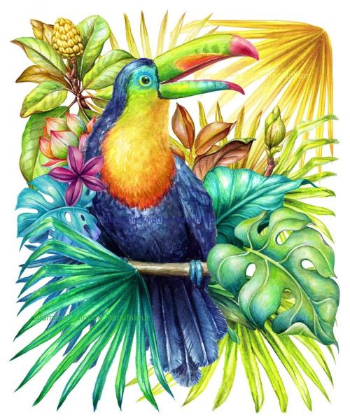 Diamond Painting Farbenfroher Tucan, 230 Farben rund