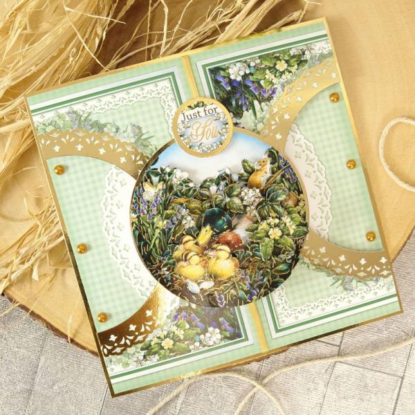 Decoupage Card Kit "Delightful Birds" von Hunkydory UK