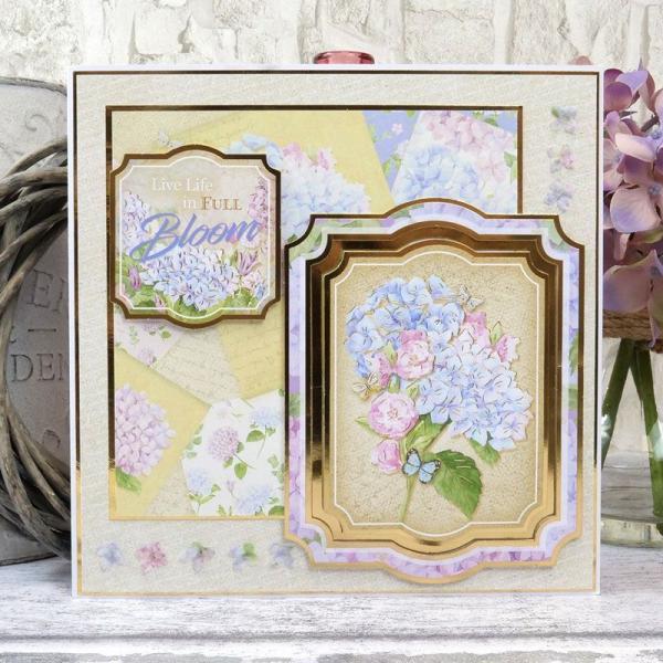 Luxury Card Collection Forever Florals Hydrangea