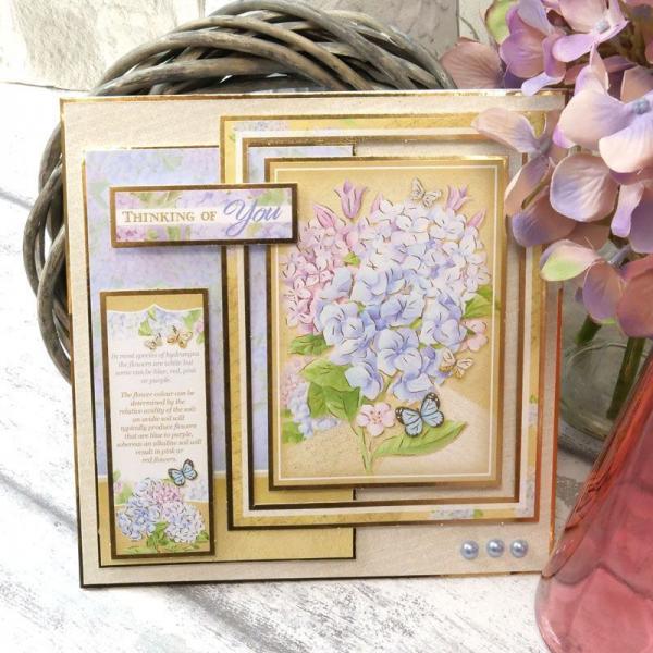 Luxury Card Collection Forever Florals Hydrangea