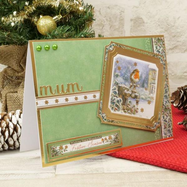 Luxury Card Collection Little Red Robin Topper Set