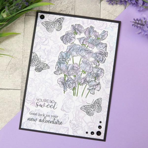 Motivstempel Summer Splendour Sweet Pea Posy