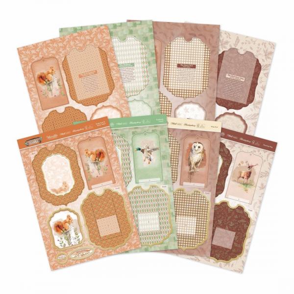 Concept Cards Collection Woodland Wildlife