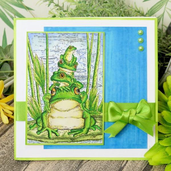 Motivstempel Animal Kingdom Frog Family