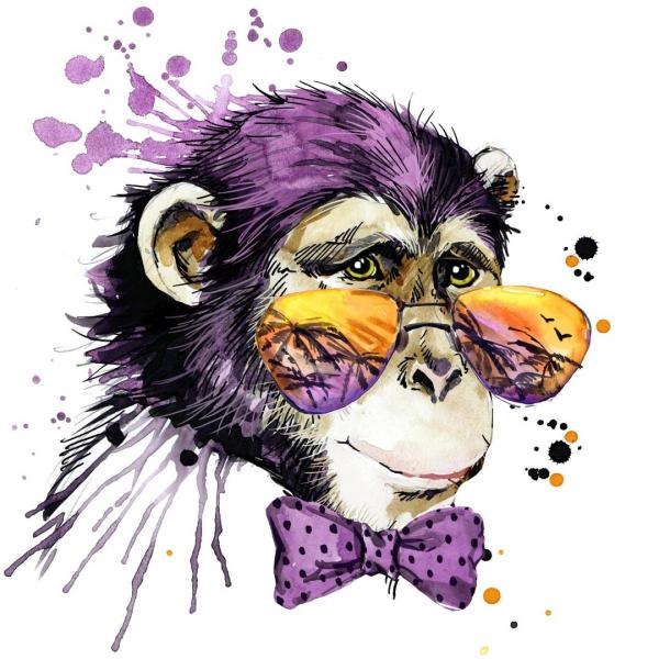 Diamond Painting Cool Monkey, 170 Farben eckig